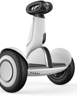 Segway Ninebot S Plus